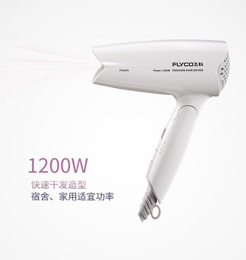 飛科FH6255電吹風(fēng) 輕巧折疊與舒適風(fēng)速的完美融合
